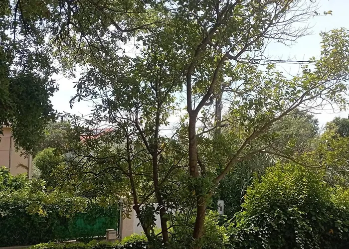 Ground Floor 2 St-raphael Apartment *